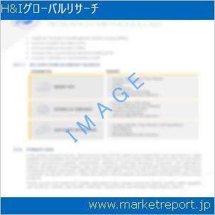 市場と産業調査レポートのイメージ
